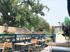 -Sirena海妖日咖夜酒