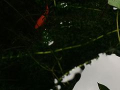 -白鹭原茶艺馆