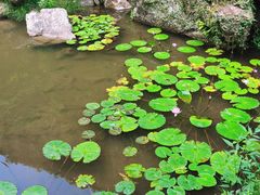 -刘伯温故里景区百丈漈