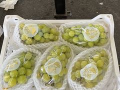 -西郊国际农产品交易中心