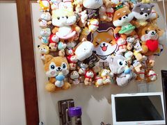 -逗柴咖啡屋·狗咖猫咖宠物桌游