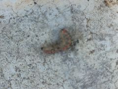 -鬼笑石后山停车场