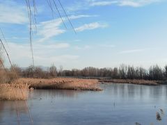 -野鸭湖国家湿地公园