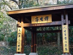 -灵谷景区