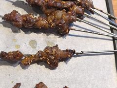 -鼎原力量东北吊炉烧烤(临河街店)