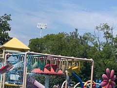 -苏州乐园森林水世界