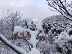 -香山公园