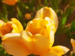 -廊坊文化艺术中心