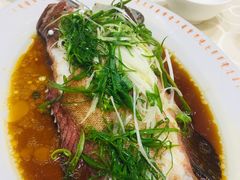 -凤城礼记鱼翅海鲜酒家(新马路总店)