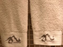 -九华山聚龙大酒店