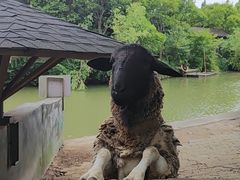 -宁波野生动物园