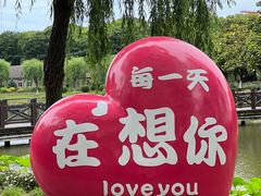 -上海鲜花港