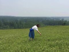 -恋山坝上草原