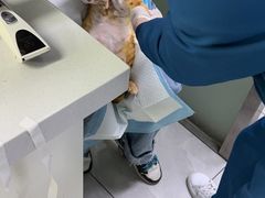 -达爱动物医院·犬猫分区·CT·复杂眼科(远洋山水分院)