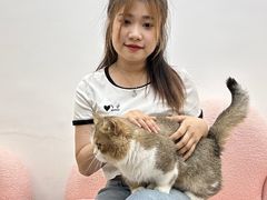 -青奢宠物·青奢猫舍