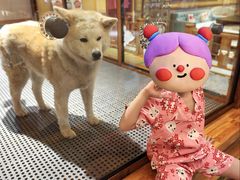-大江户·温泉洗浴(浑南店)