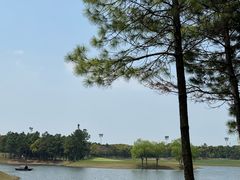 -东庄海岸高尔夫俱乐部