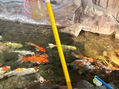 -海合安青岛极地海洋公园