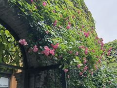 -河畔春天时尚餐厅