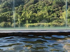 -碧水湾温泉