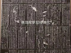 -盛德圆(五台山云龙店)