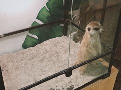 -藦茜花园宠物主题亲子互动体验馆(国顺东路店)