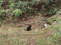 -香山公园