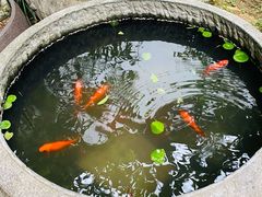 -院子餐厅·大锅菜·老杭帮(桥西直街店)