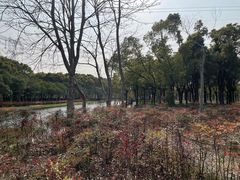 -嘉北郊野公园