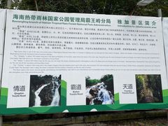 -海南霸王岭国家森林公园