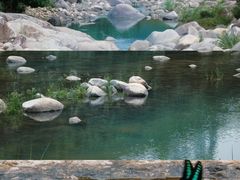 -海南霸王岭国家森林公园