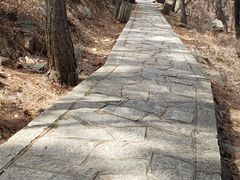 -金龙寺国家森林公园