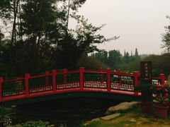 -秀丽东方