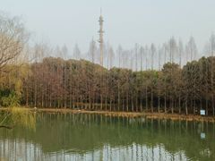 -自然谷恐龙园