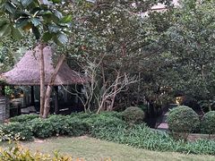 -海南清水湾莱佛士酒店