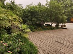 -南山植物园