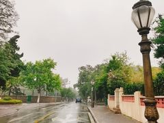-八大关景区