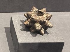 -呼和浩特博物馆