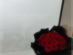 -上海柏悦酒店