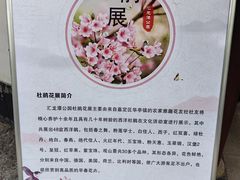 -汇龙潭
