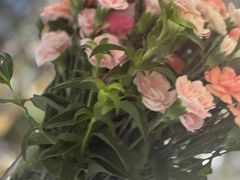 -春暖花开(西溪店)
