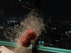 糖葫芦-无锡苏宁银河国际酒店-悦府65中餐厅