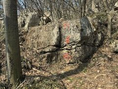 -南京老山国家森林公园