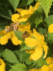 -大望京儿童游乐场