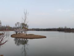 -东郊湿地公园