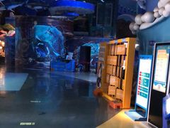 -烟台海昌鲸鲨海洋公园