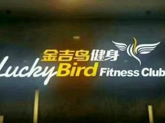 -金吉鸟健身游泳