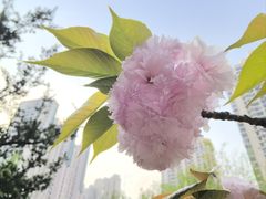 -苏州河梦清园环保主题公园