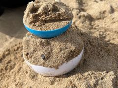 -秦皇岛新澳海底世界