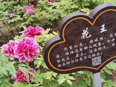 -洛阳市隋唐城遗址植物园